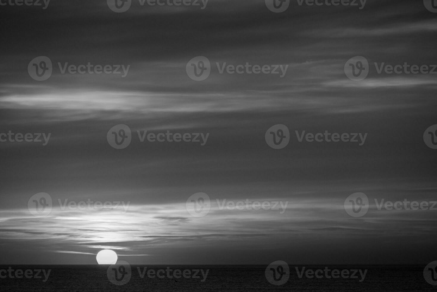 the beach of langeoog island photo