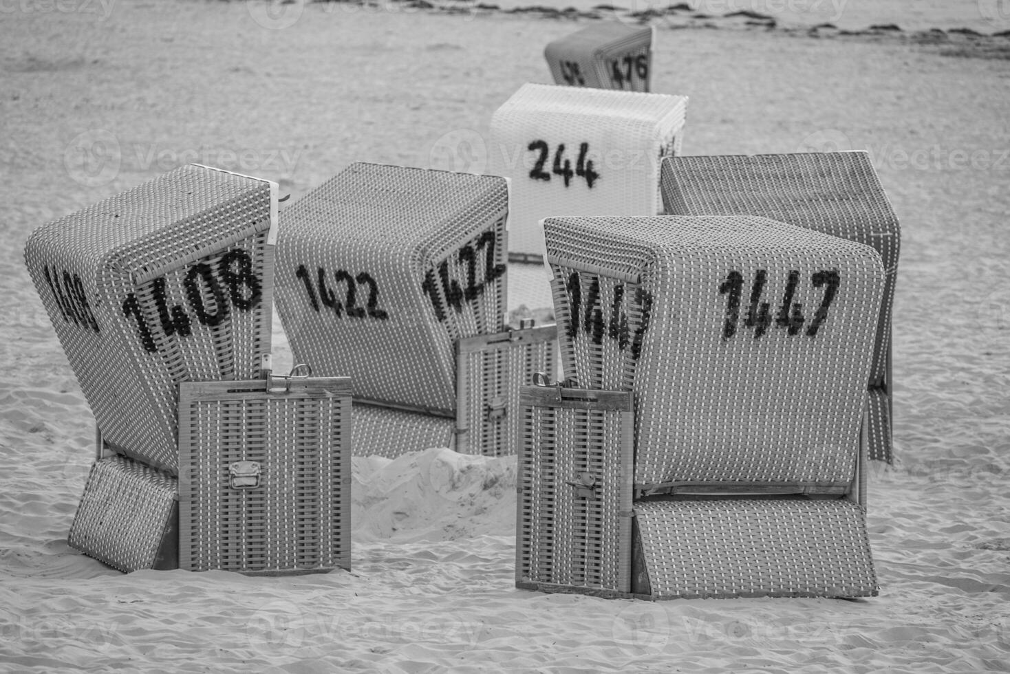 the beach of langeoog island photo