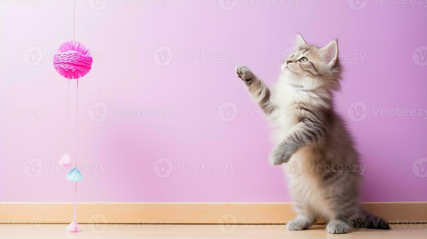 Munchkin cat standing upright, reaching for a dangling toy, displaying its short legs. Generative AI photo