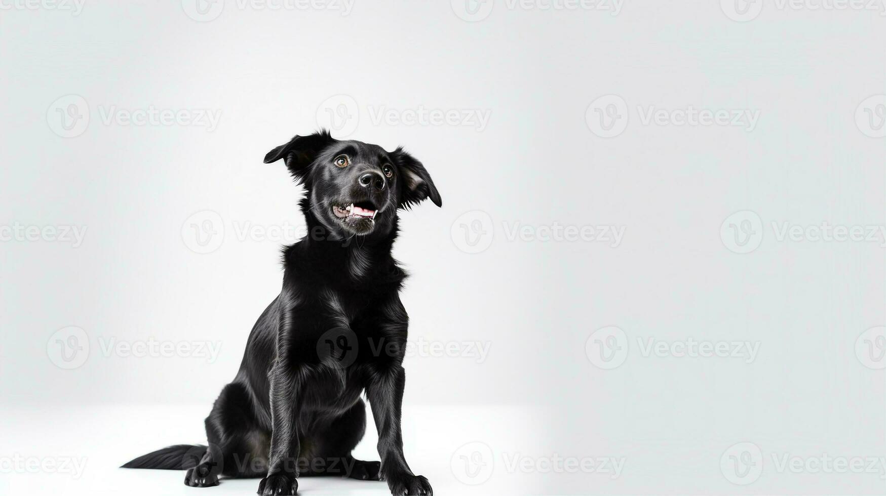 Happy dog, isolated background with copy space. Generative AI photo