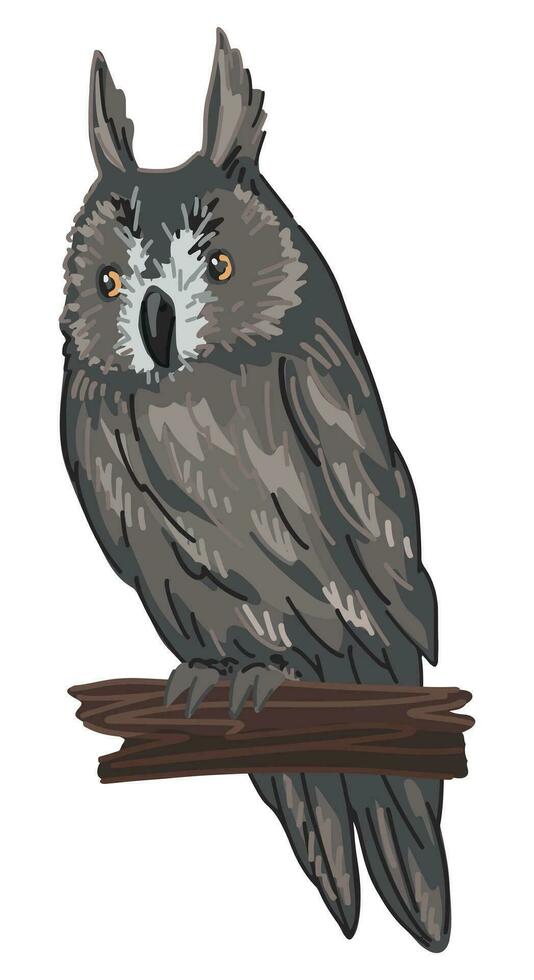 Long-eared owl clipart in cartoon style. Realistic colored drawing of nocturnal bird wild animal. Vector illustration isolated on white background.