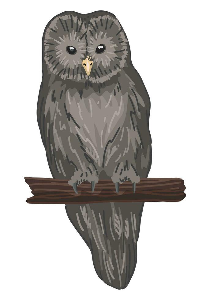 Ural owl clipart in cartoon style. Realistic colored drawing of nocturnal bird wild animal. Vector illustration isolated on white background.