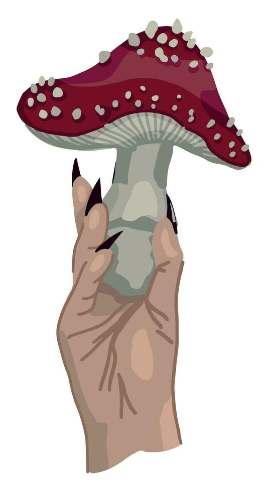 Witch's hand holding a poisonous mushroom. Halloween spooky vector illustration. Colored clipart for decor isolated on white background.