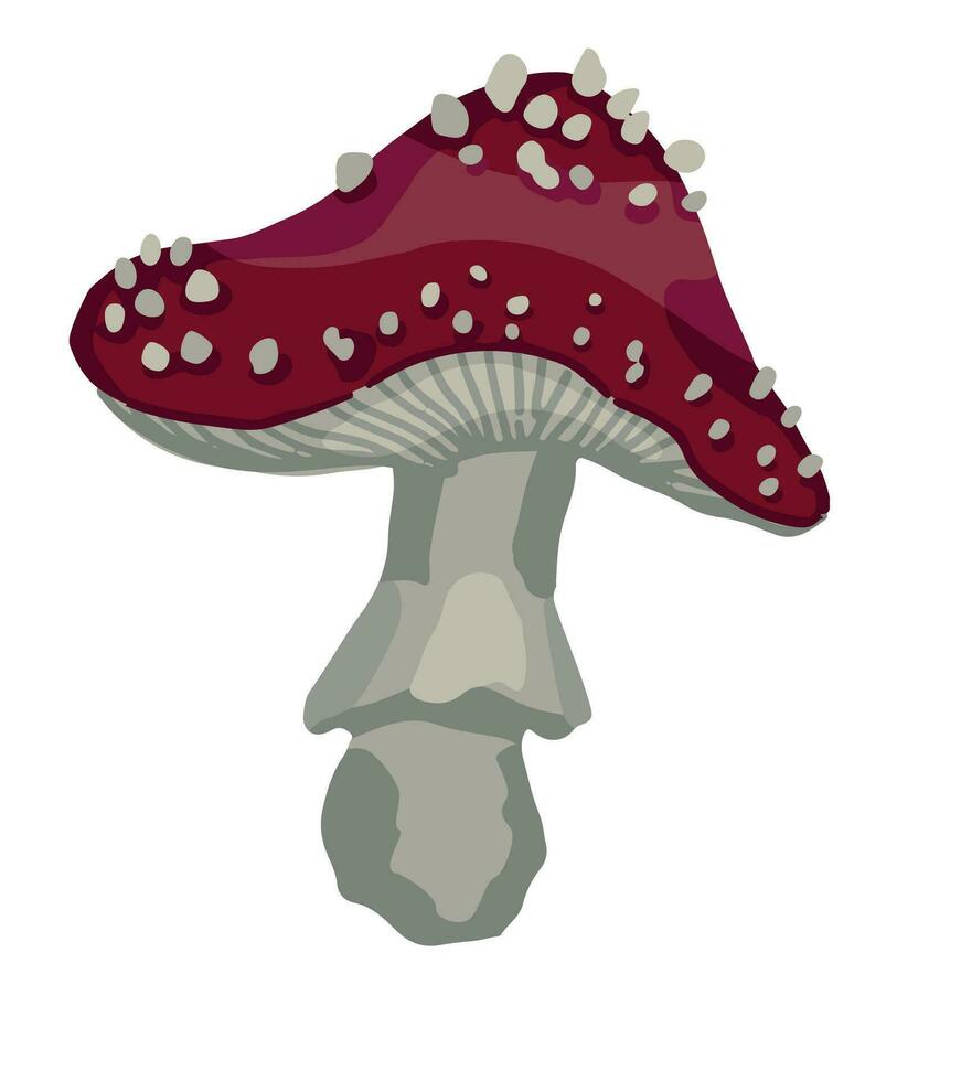 Poison mushroom Amanita muscaria. Fly agaric, fungus clipart isolated on white. Colored vector illustration in cartoon style.