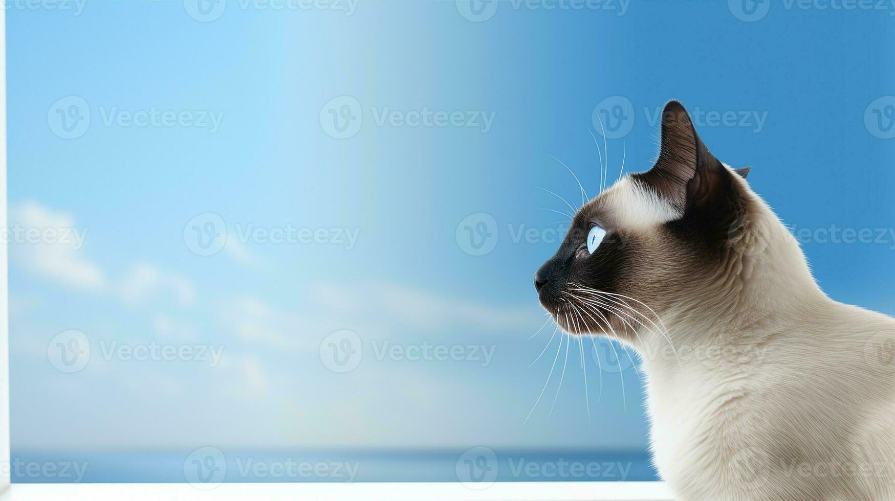 Sleek Siamese cat perched on a windowsill, watching birds fly by against a blue sky. Generative AI photo