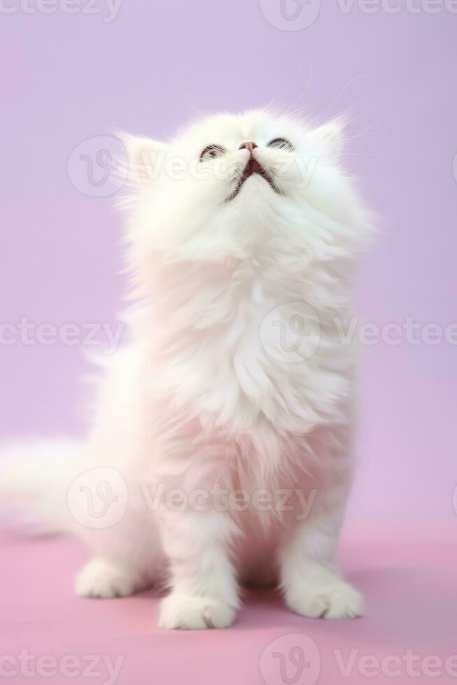 Very cute Persian, baby cat in nature wide life animals. AI Generated. photo