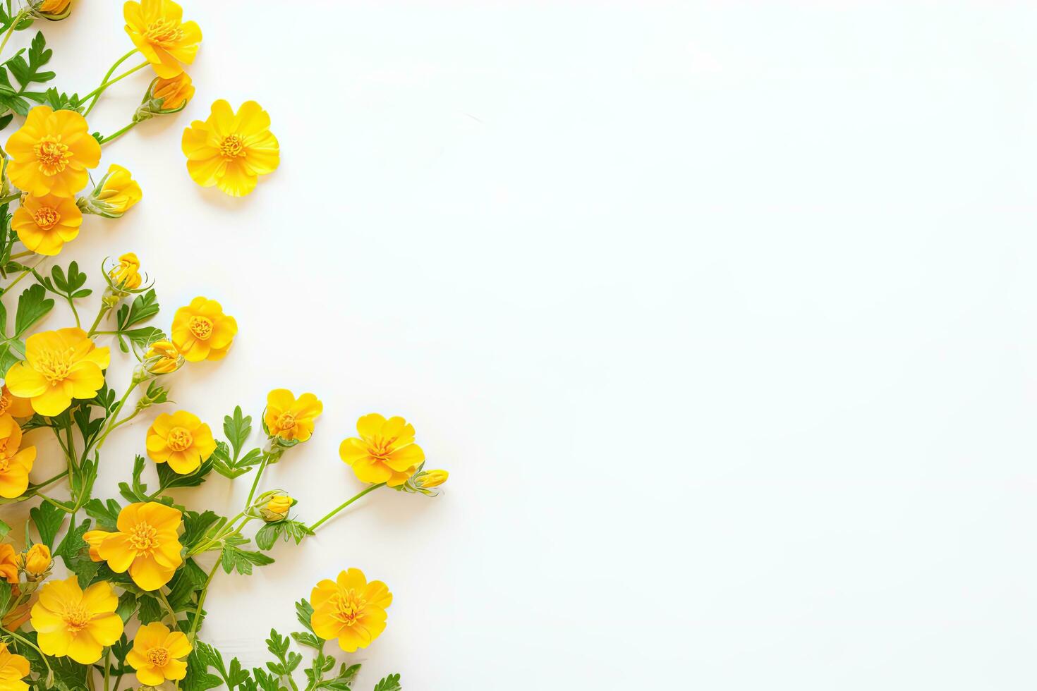 AI generated Flowers and bouquet of small yellow, orange, pink flowers on a white background in a minimalist style. photo