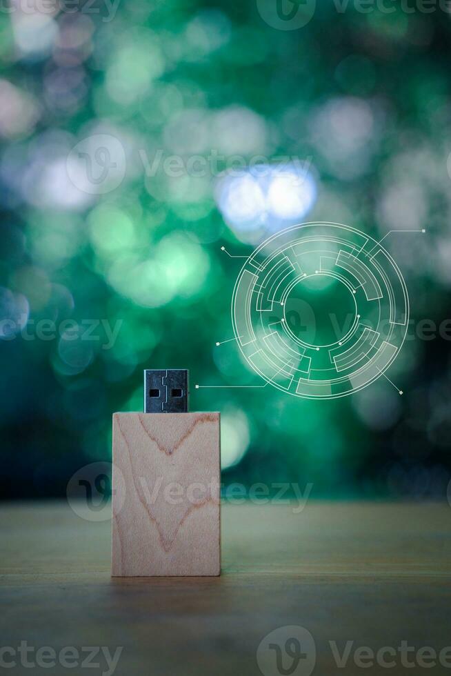 Wooden USB flash disk with empty circle diagram photo