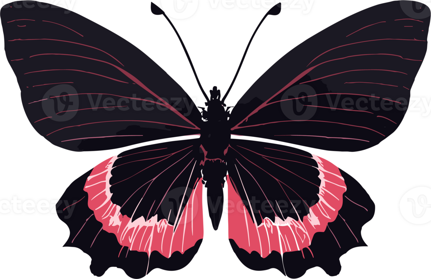 Colorful Butterfly ai generative png