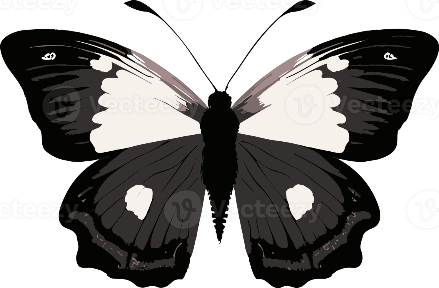 Colorful Butterfly ai generative png