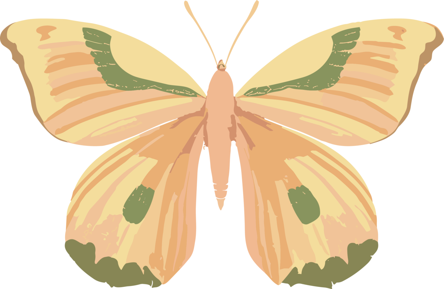 colorful butterfly ai generative png