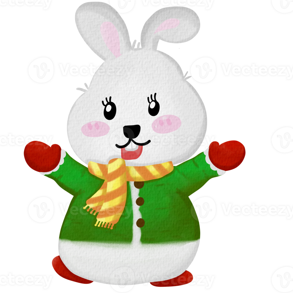 cartone animato coniglio nel Natale verde costume e giallo sciarpa png
