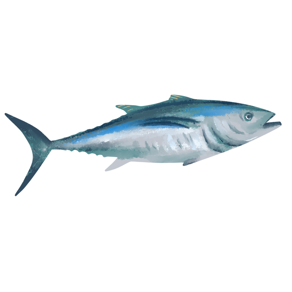 tosca tonfisk fisk png