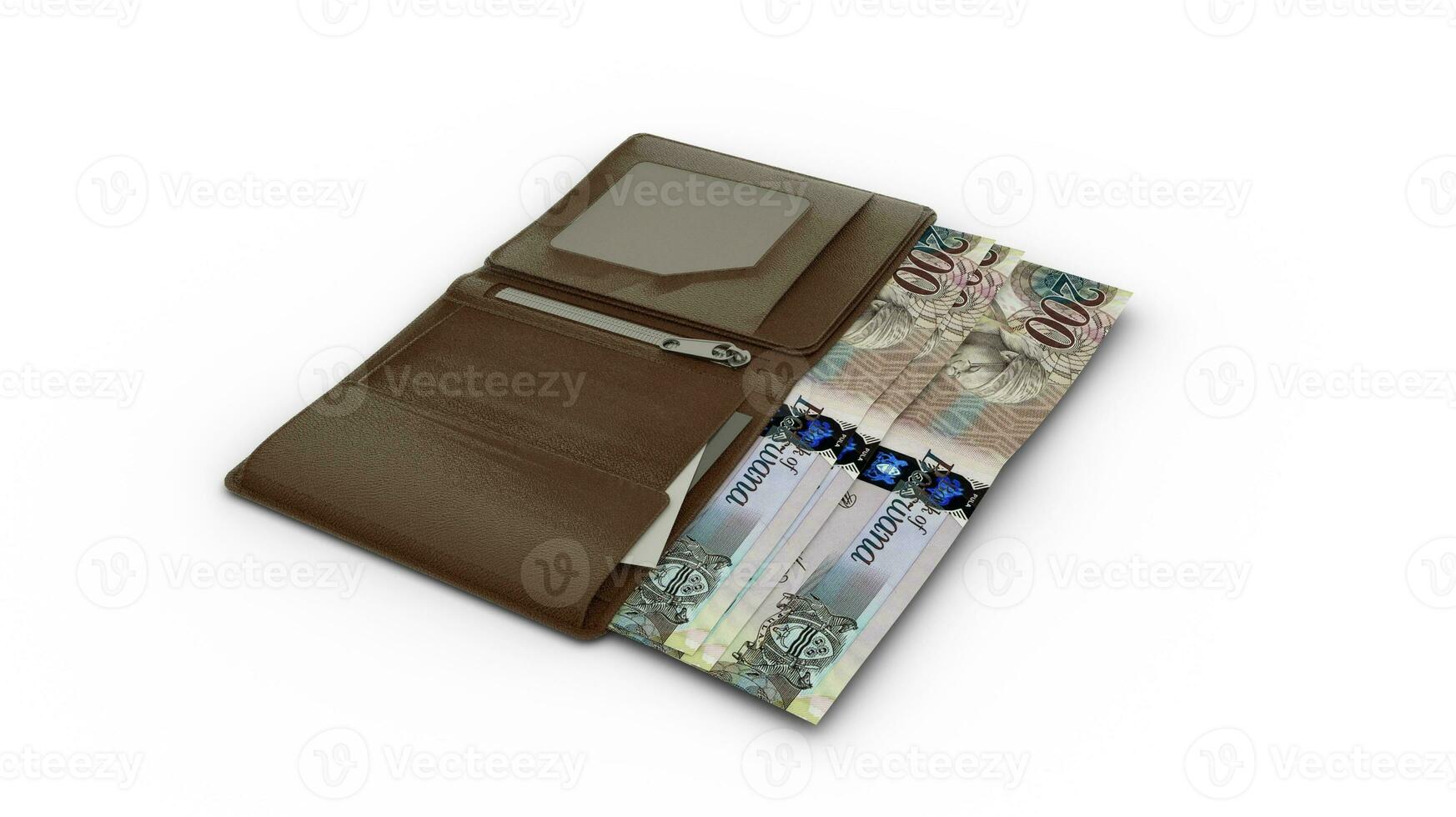 3D rendering of Botswanan Pula notes in wallet photo