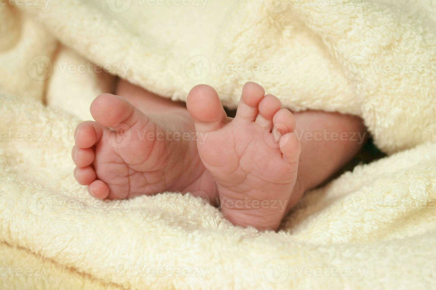 Feet newborn baby photo