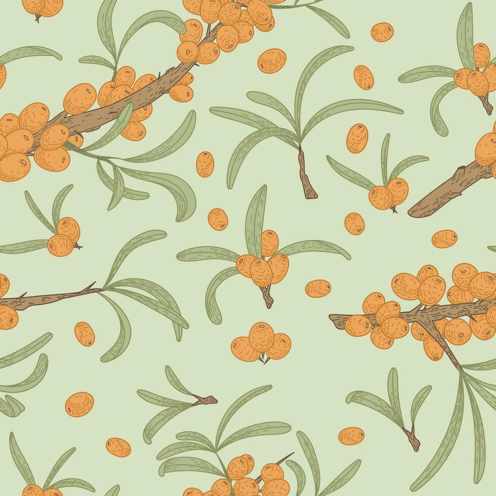 Sea buckthorn branch with leaves and berries. Natural green plant, vector seamless pattern, flat style.