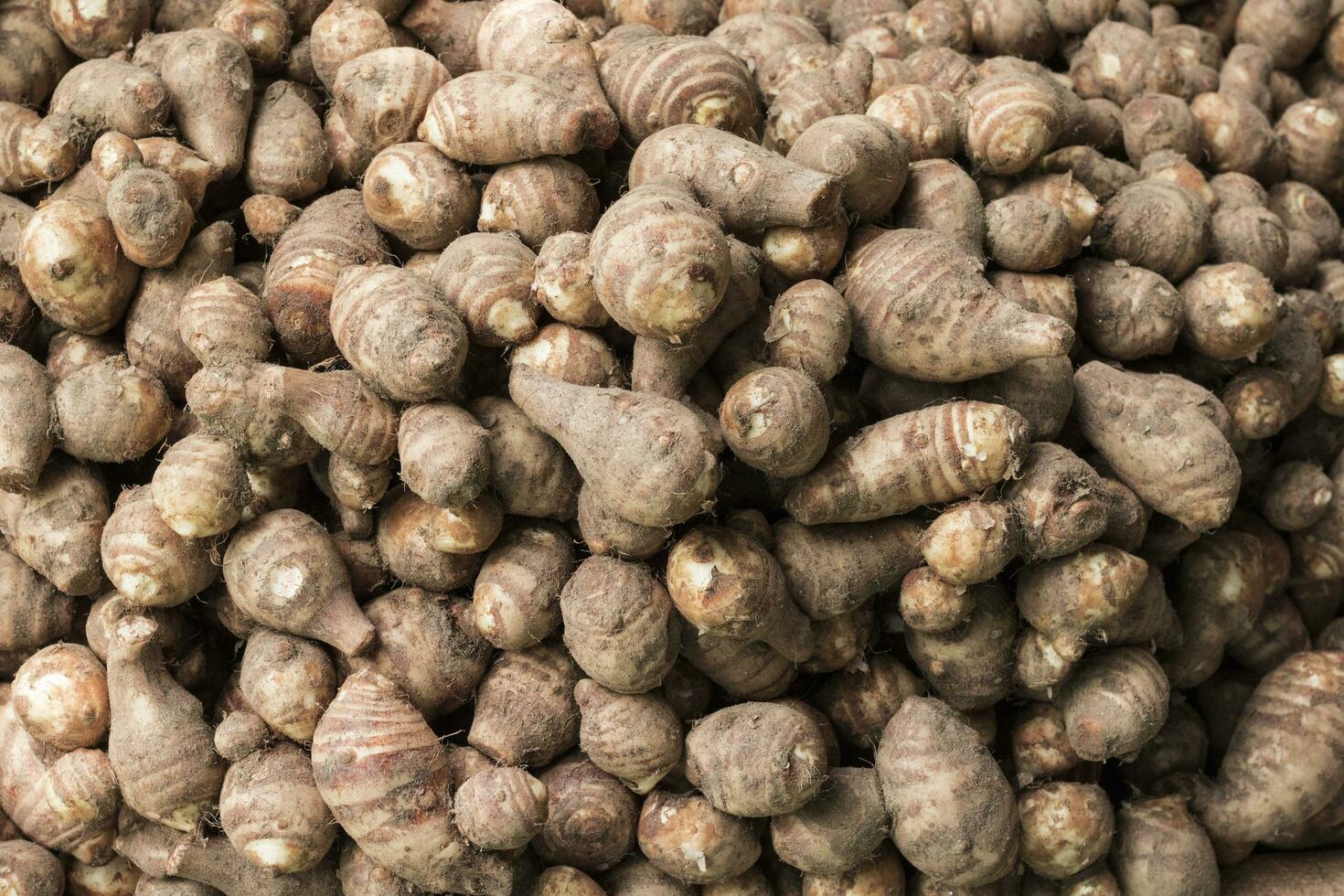 Fresh Taro vegetables on the market, photo