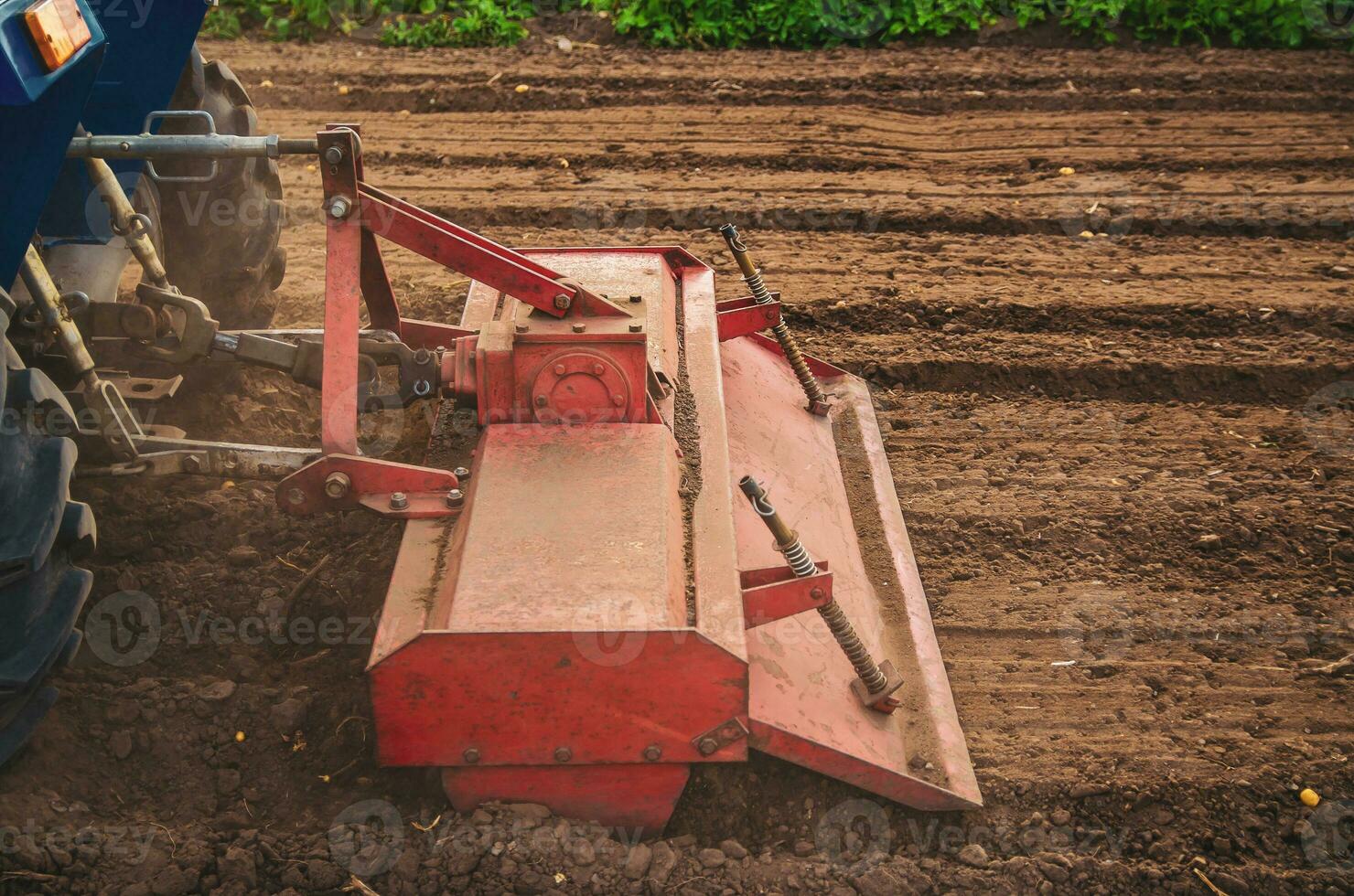 The tractor works the soil of the field by loosening and mixing it. Softening of the soil and destruction of the root system of the previous harvest. Land cultivation. Farming. photo