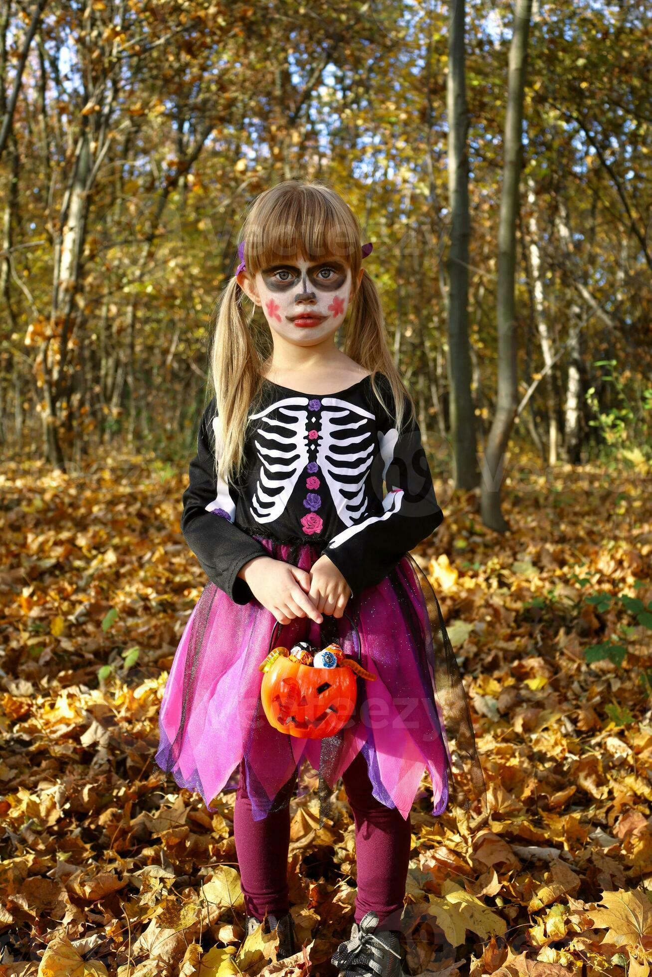 Toddler Girl Day Of The Dead Costume Black Toddler Girl Day Of The Dead Costume Black