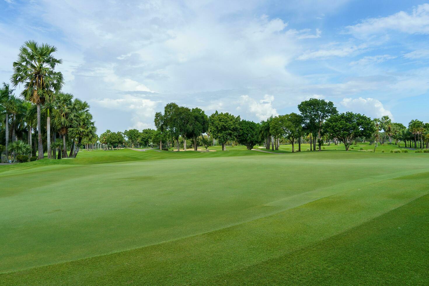 ver de golf curso con poniendo verde golf curso con un Rico verde césped y hermosa paisaje foto