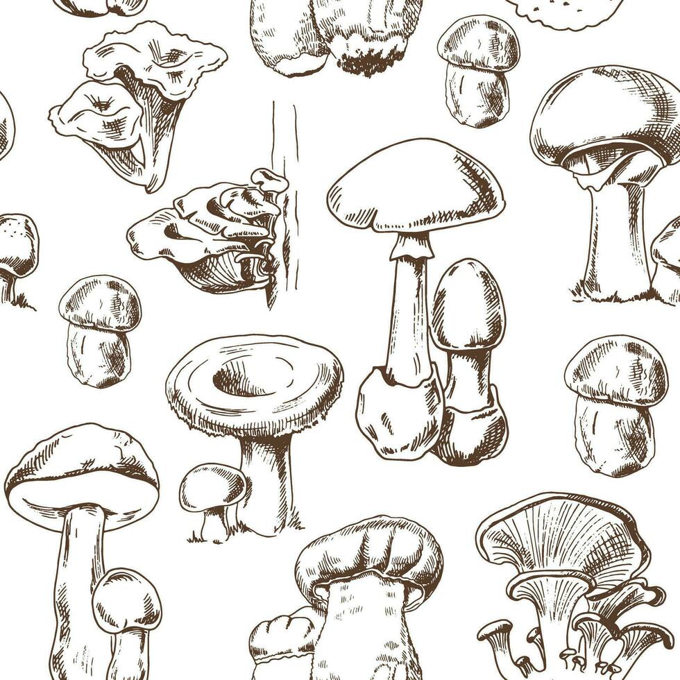 Seamless pattern of different hand-drawn  mushrooms. Sketch illustration for print, web, mobile and infographics. vector