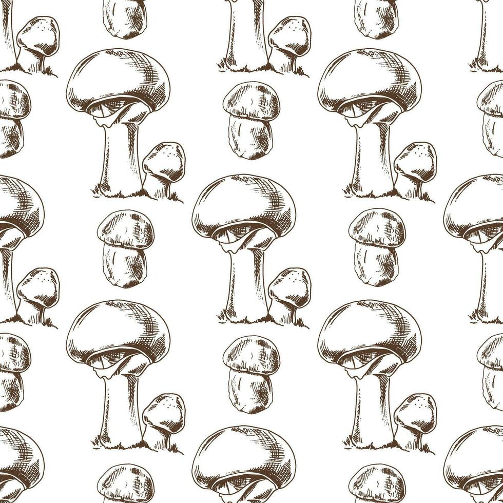 Seamless pattern of hand drawn forest champignon mushrooms. Vector sketch icon. Vintage drawing. Eco food vintage vector illustration. Sketch illustration for print, web, mobile and infographics.