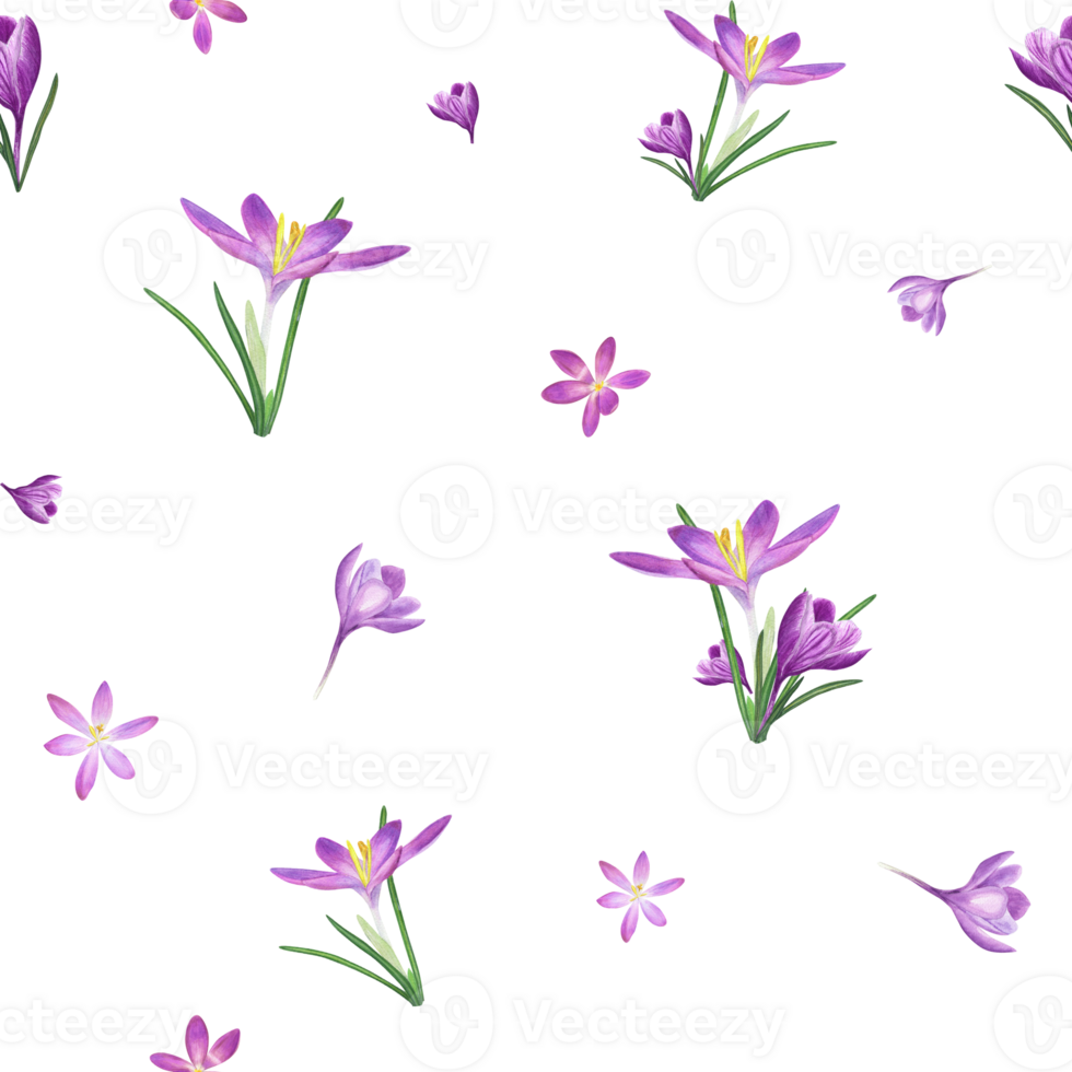 Watercolor seamless pattern of crocuses. Spring illustration for the design of textile, wrapping paper, scrapbooking, greetings, wedding cards png