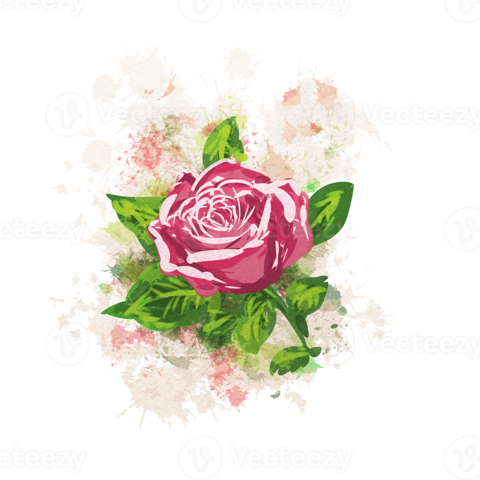 rose flower plant png