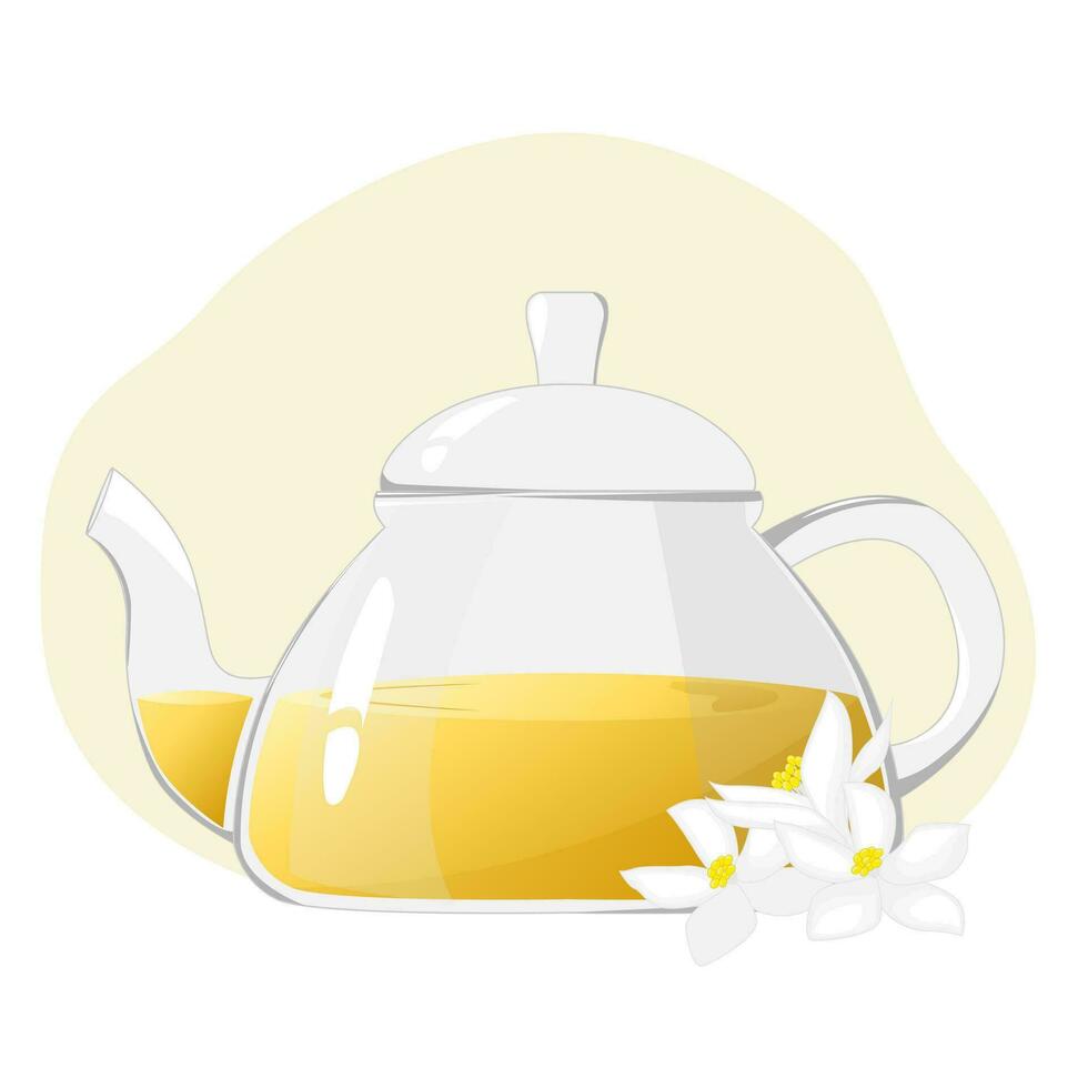 Glass teapot with herbal tea.Transparent glass teapot with jasmine tea. Healthy drinks concept.Vector illustration for cafes, advertisements, banners vector