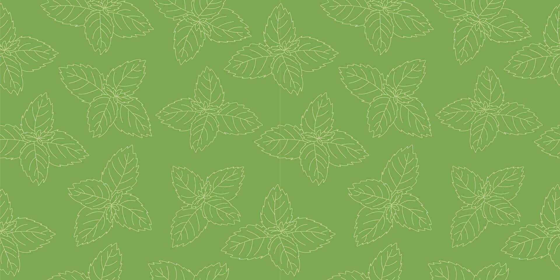 Seamless pattern of mint leaf icon. Isolated illustration of a mint leaf icon in linear style on a green background vector