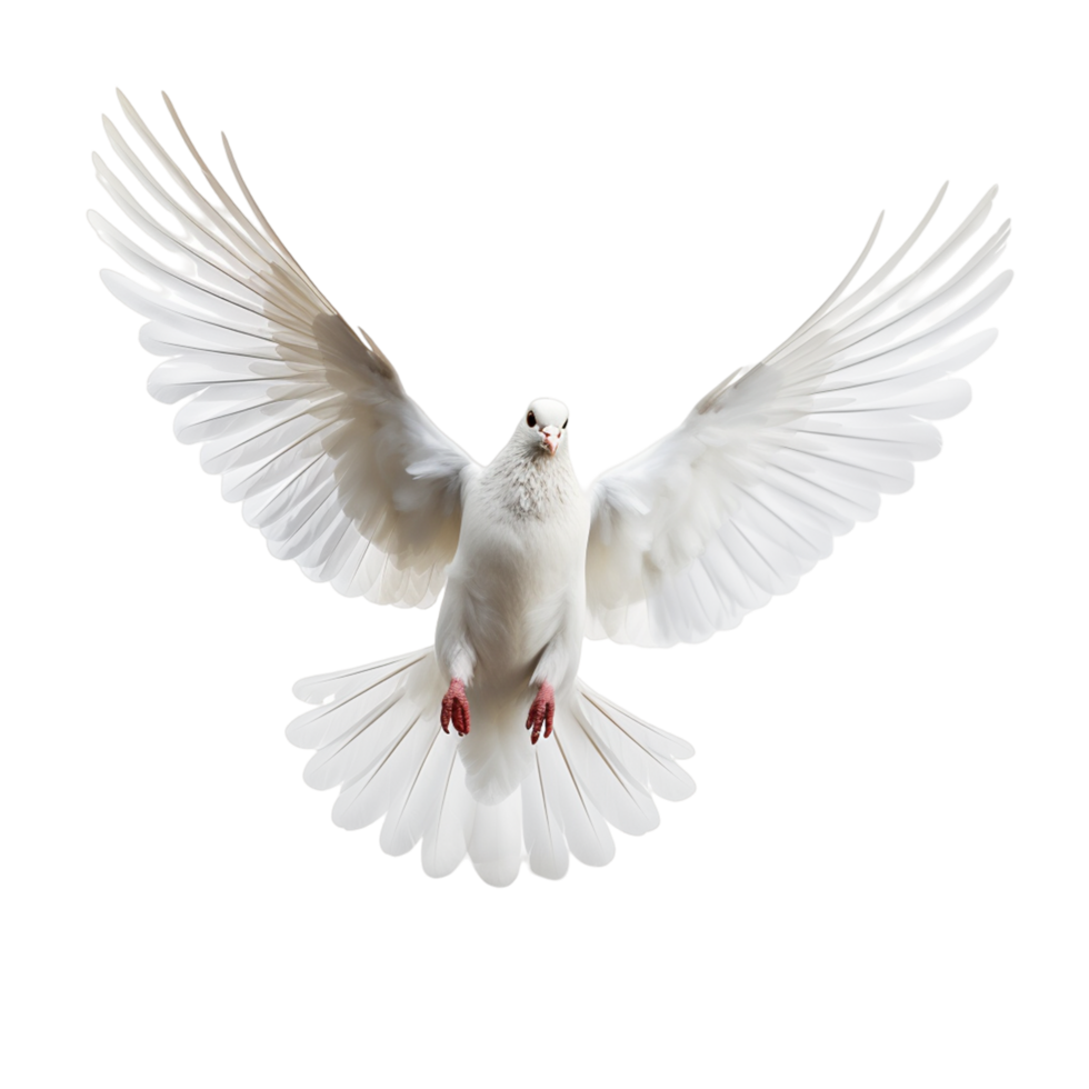 Weiß Taube fliegend ai generativ png