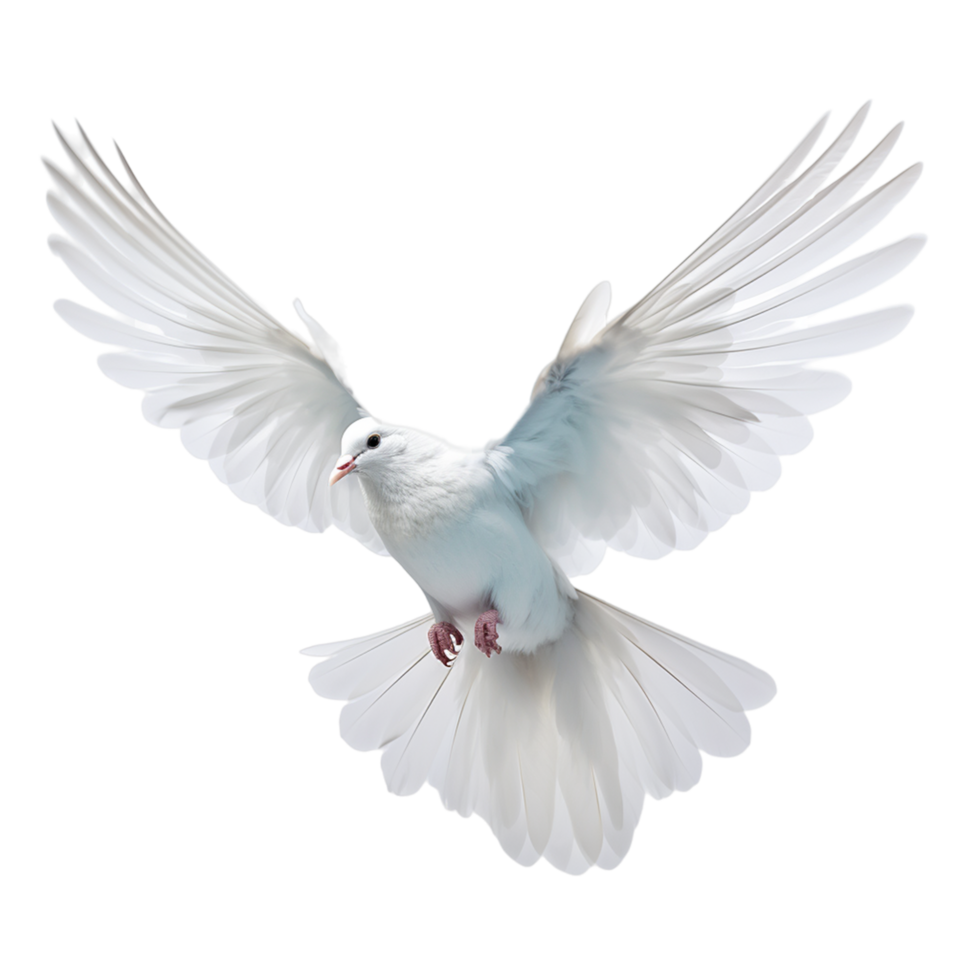 White flying dove ai generative png