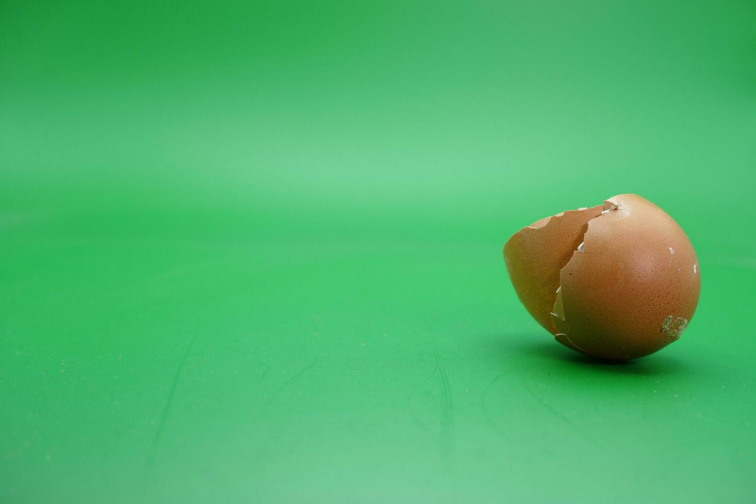 broken eggshell over green background. empty eggshells. photo