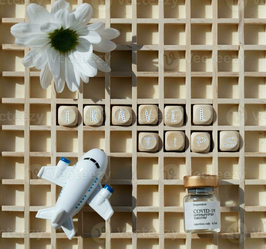 a white flower and a toy airplane on a wooden board photo