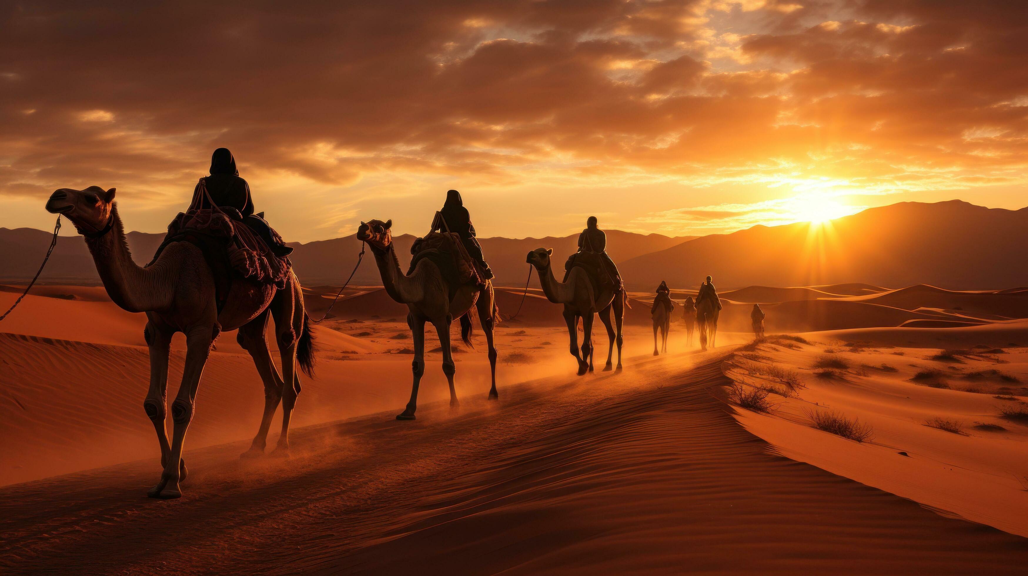 Tourists Delight in Group Camel Rides through the Desert Travel