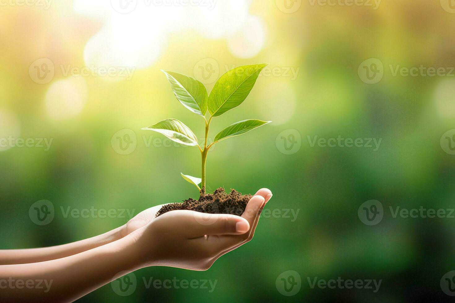 Human hands holding a young plant with green bokeh background. photo