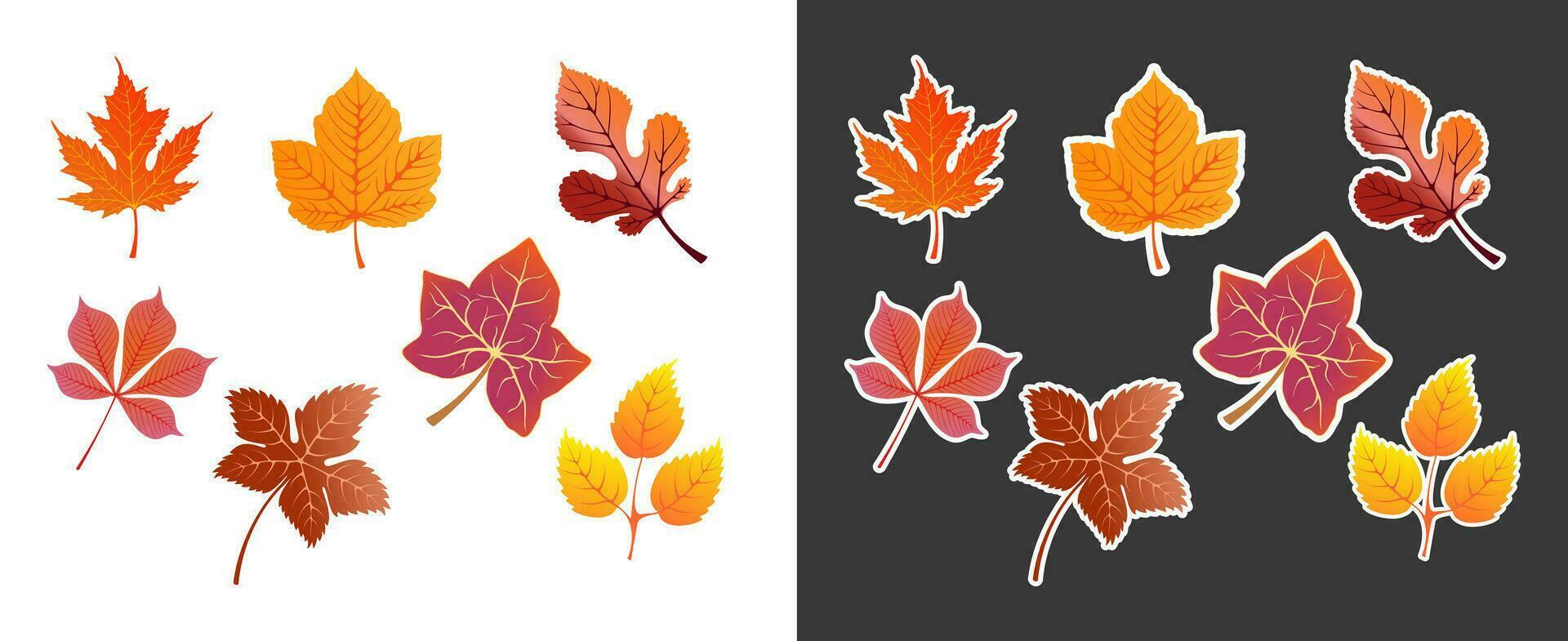 otoño arce hojas pegatinas conjunto vector ilustración