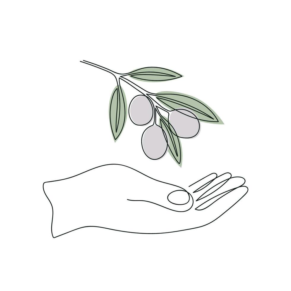 Olive branch in hand drawn in one continuous line in color. One line drawing, minimalism. Vector illustration.