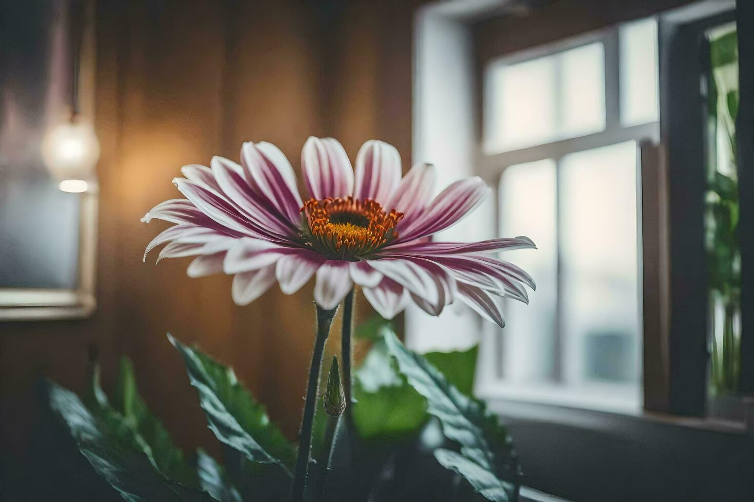 a flower is sitting in front of a window. AI-Generated photo