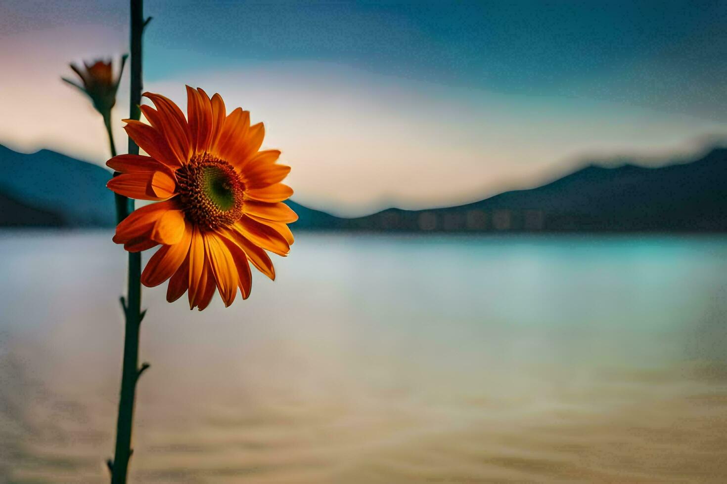 a single orange flower is standing in front of a lake. AI-Generated photo