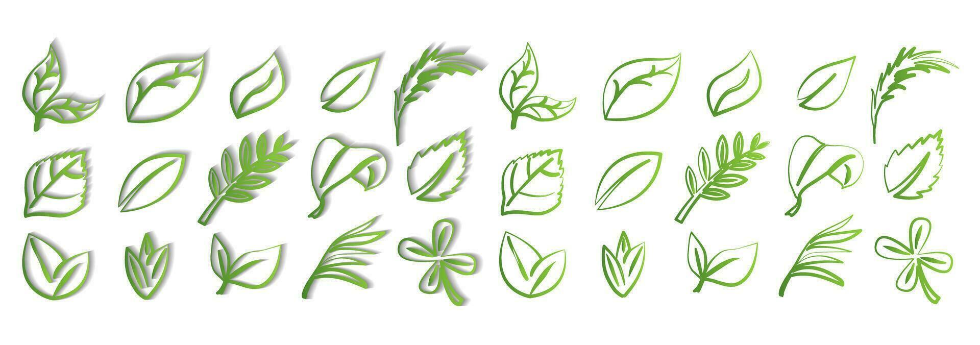 A set of green leaves on a white background with and without a shadow, for logos, designs, for the symbolism of the green planet vector
