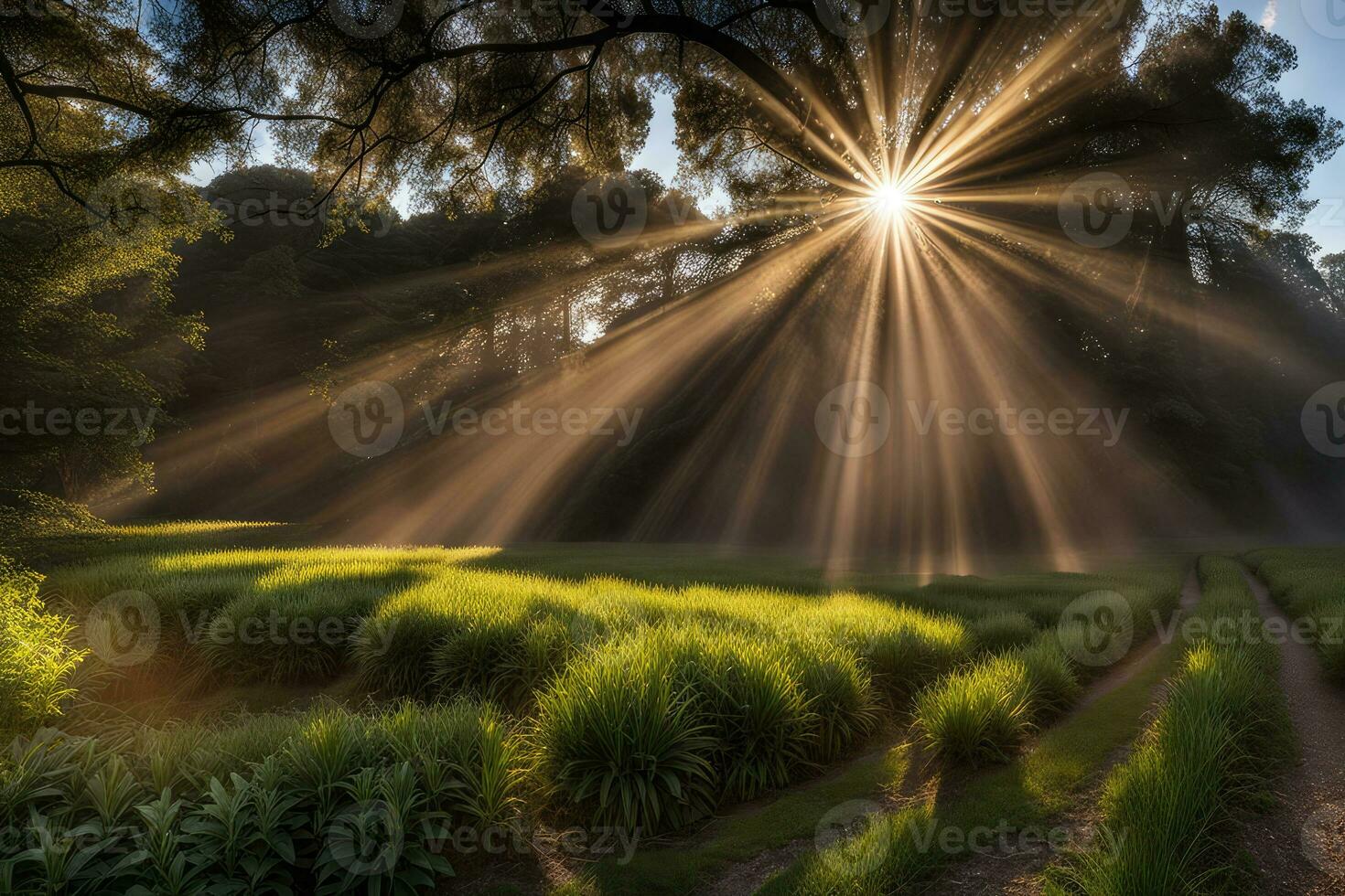 Scenic landscape rays of light in the forest created with generative ai technology photo