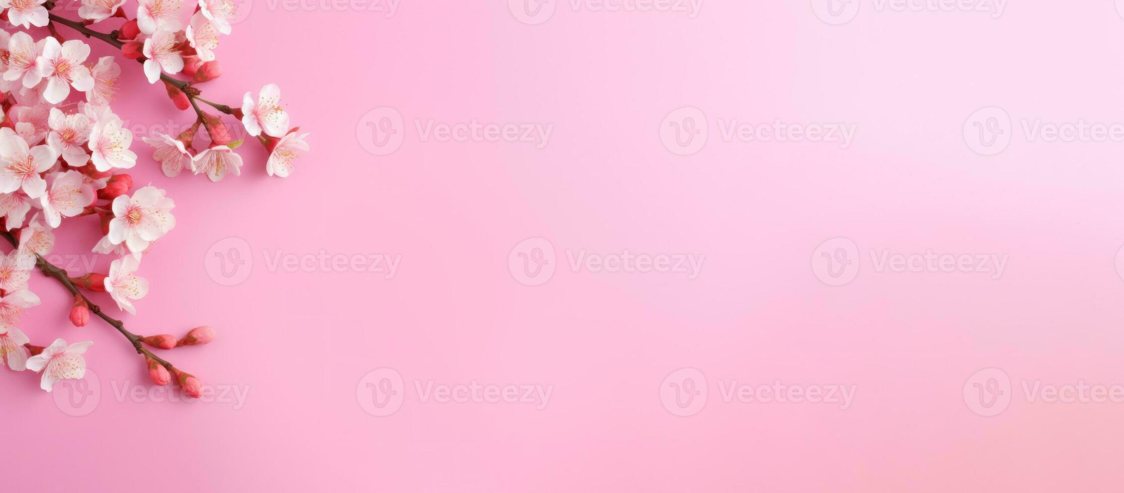 sakura flowers flat lay photography with copy space AI generated photo