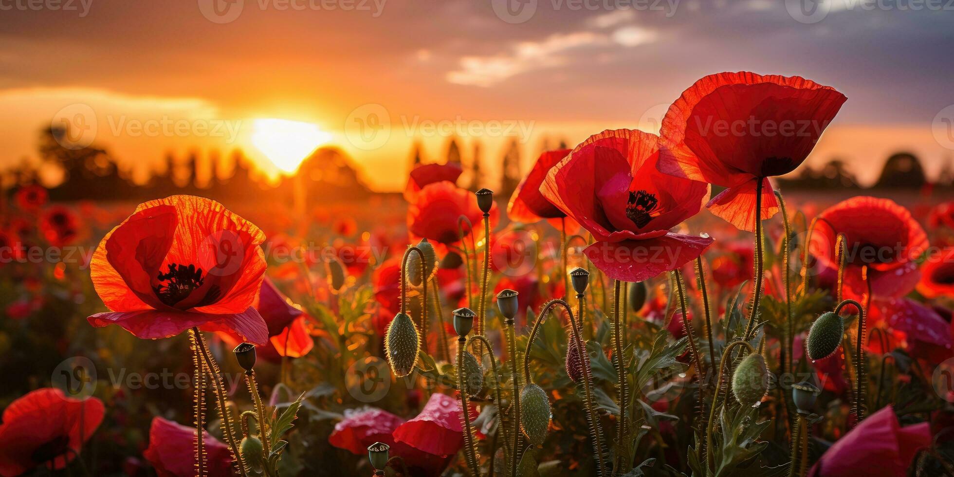 Poppy day. Memory of all the soldiers who died in wars involving Great Britain. Generative AI photo