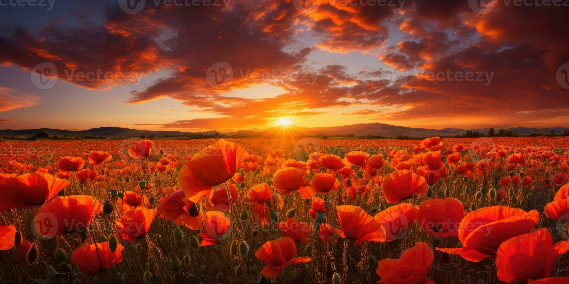 Field of poppies at dawn. Poppy day. Memory of all the soldiers who died in wars involving Great Britain. Generative AI photo