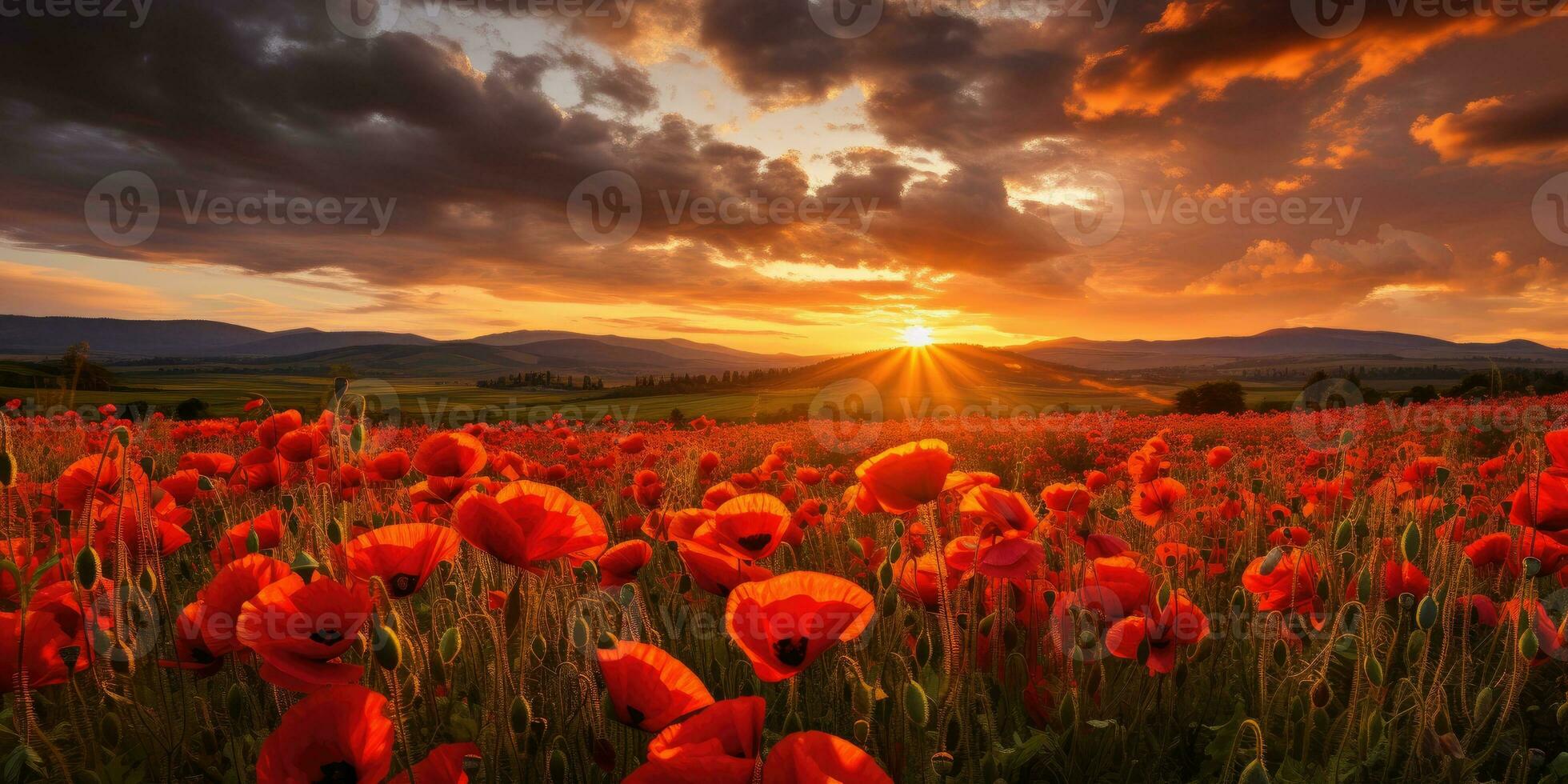 Field of poppies at dawn. Poppy day. Memory of all the soldiers who died in wars involving Great Britain. Generative AI photo