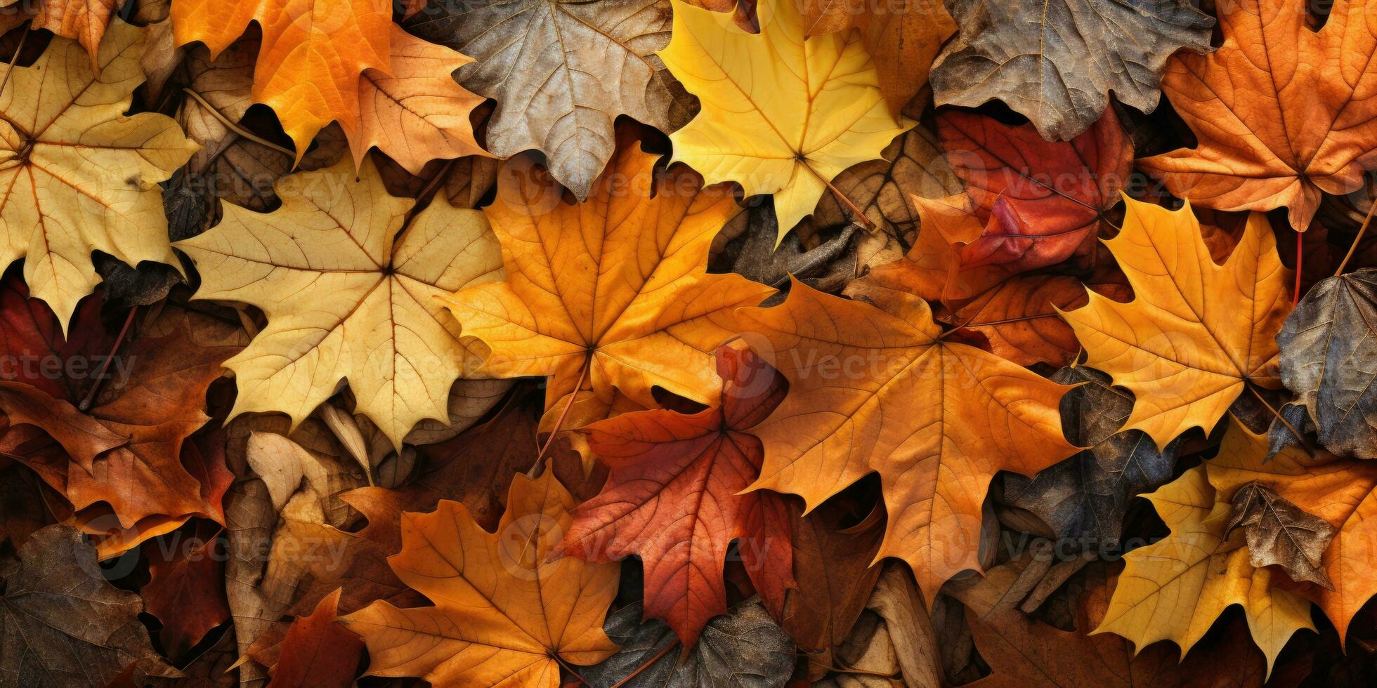 Autumn leaves, top view. Autumn background. Generative AI photo