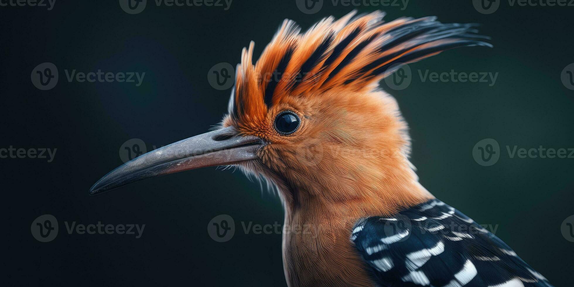 Hoopoe bird on a branch close-up. Generative AI photo