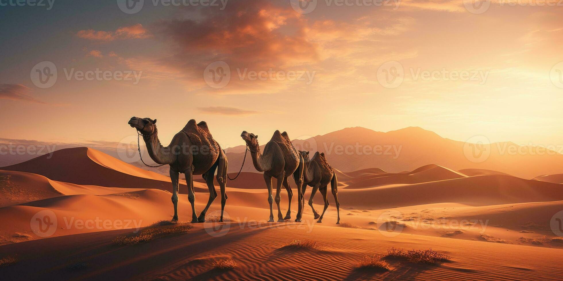 Camels in the dunes of the desert, sunset the desert, nature and travel theme.Generative AI photo