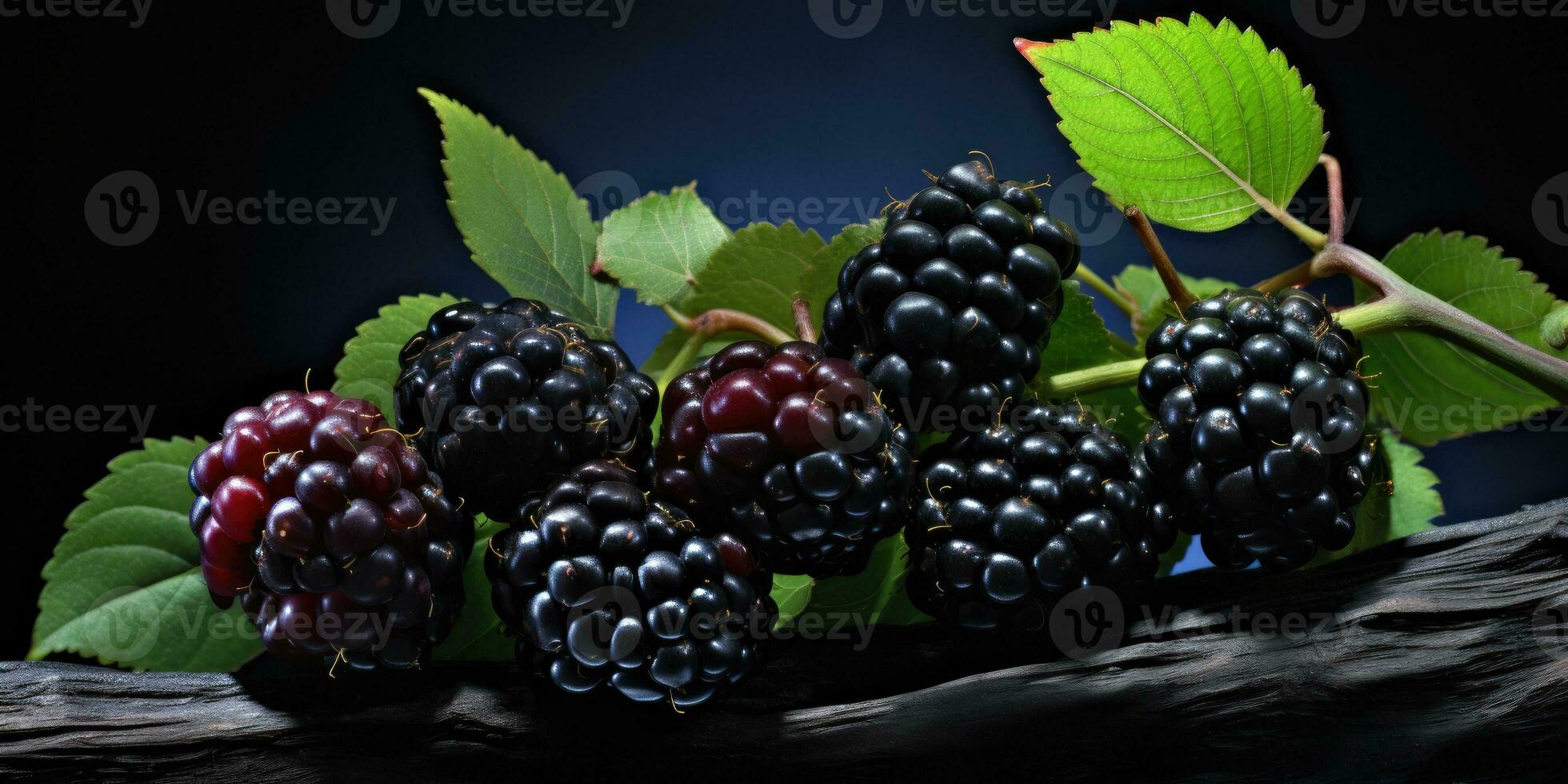 ripe and unripe blackberry on a bush with selective focus. Generative AI photo